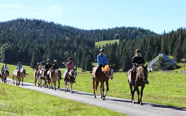 Centre équestre de Clairvaux